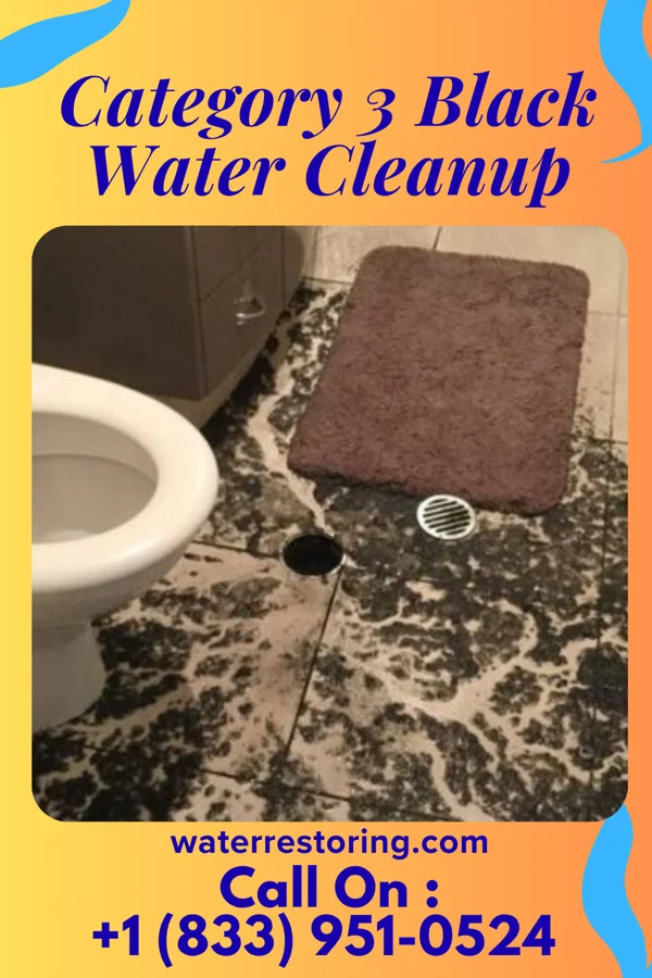 Category 3 Black Water Cleanup in Cross Roads, TX
