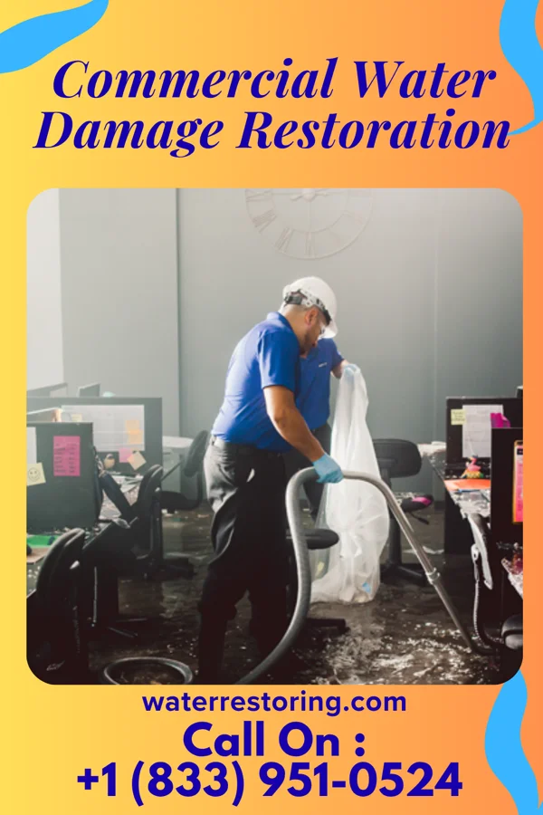 Commercial Water Damage Restoration in Cross Roads, TX