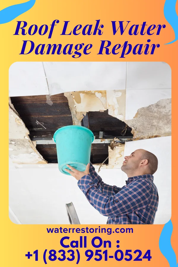 Roof Leak Water Damage Repair in Cross Roads, TX